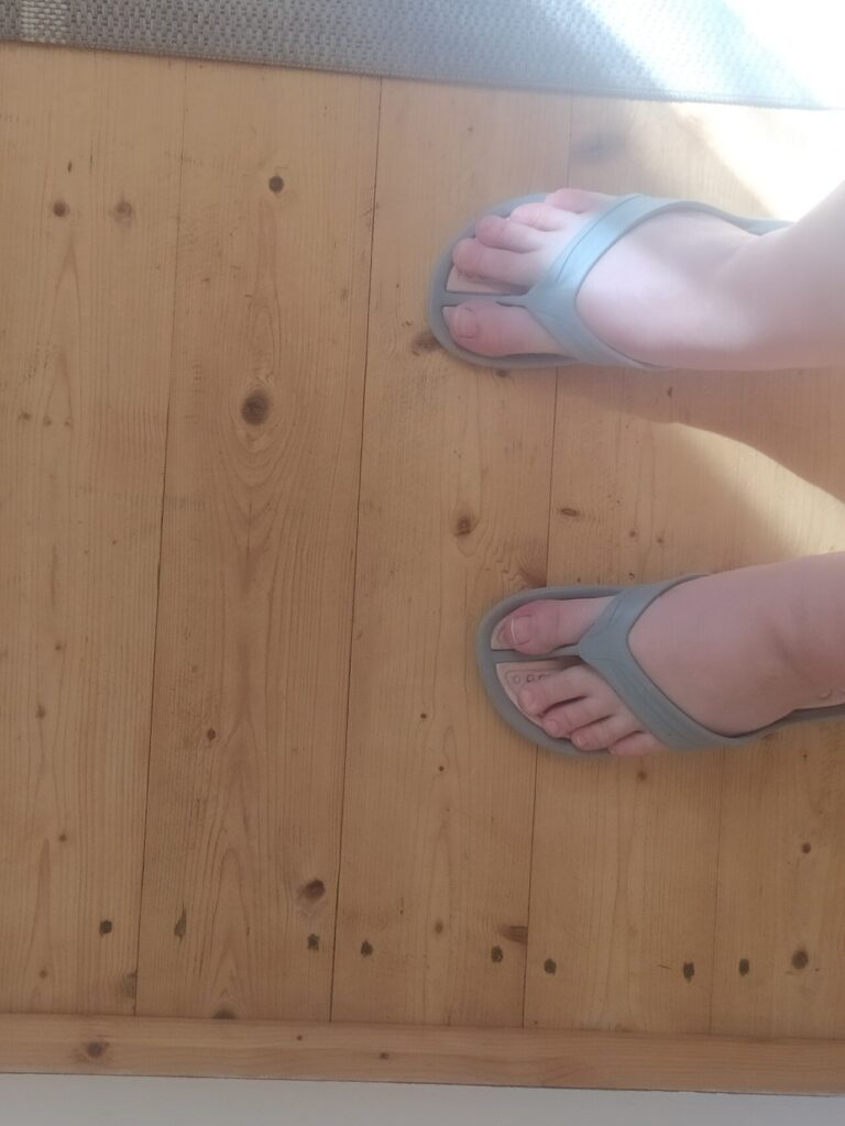 Sandálias tipo chinelo, categoria de produto da Havaianas