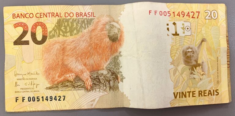 20 Brazilian Real banknote featuring a Golden Lion Tamarin monkey