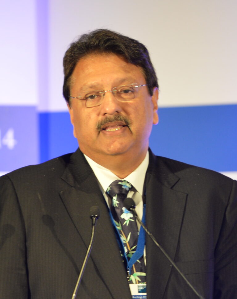 Ajay Piramal at Horasis Global India Business Meeting 2014 crop